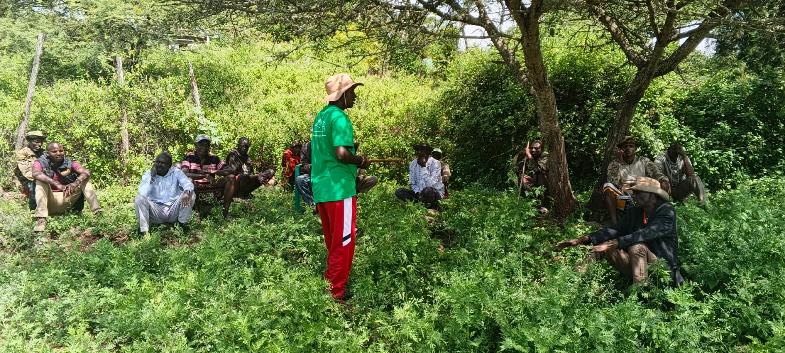 Hands holding an indigenous tree sapling